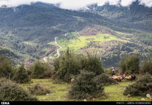hosseinzadeh (2 of 11)