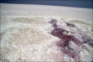 IMG19490546